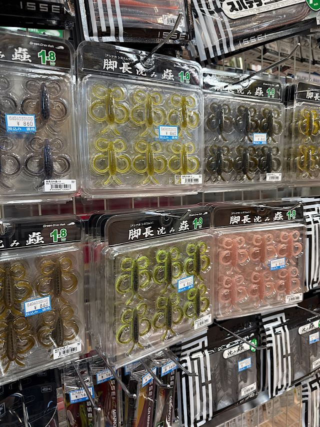 一誠　脚長沈み蟲